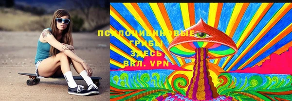 ПСИЛОЦИБИНОВЫЕ ГРИБЫ Алексин