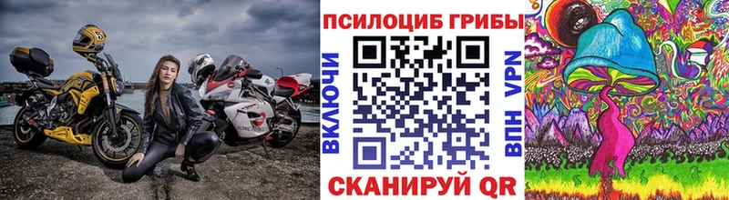 Галлюциногенные грибы Cubensis  Талдом 